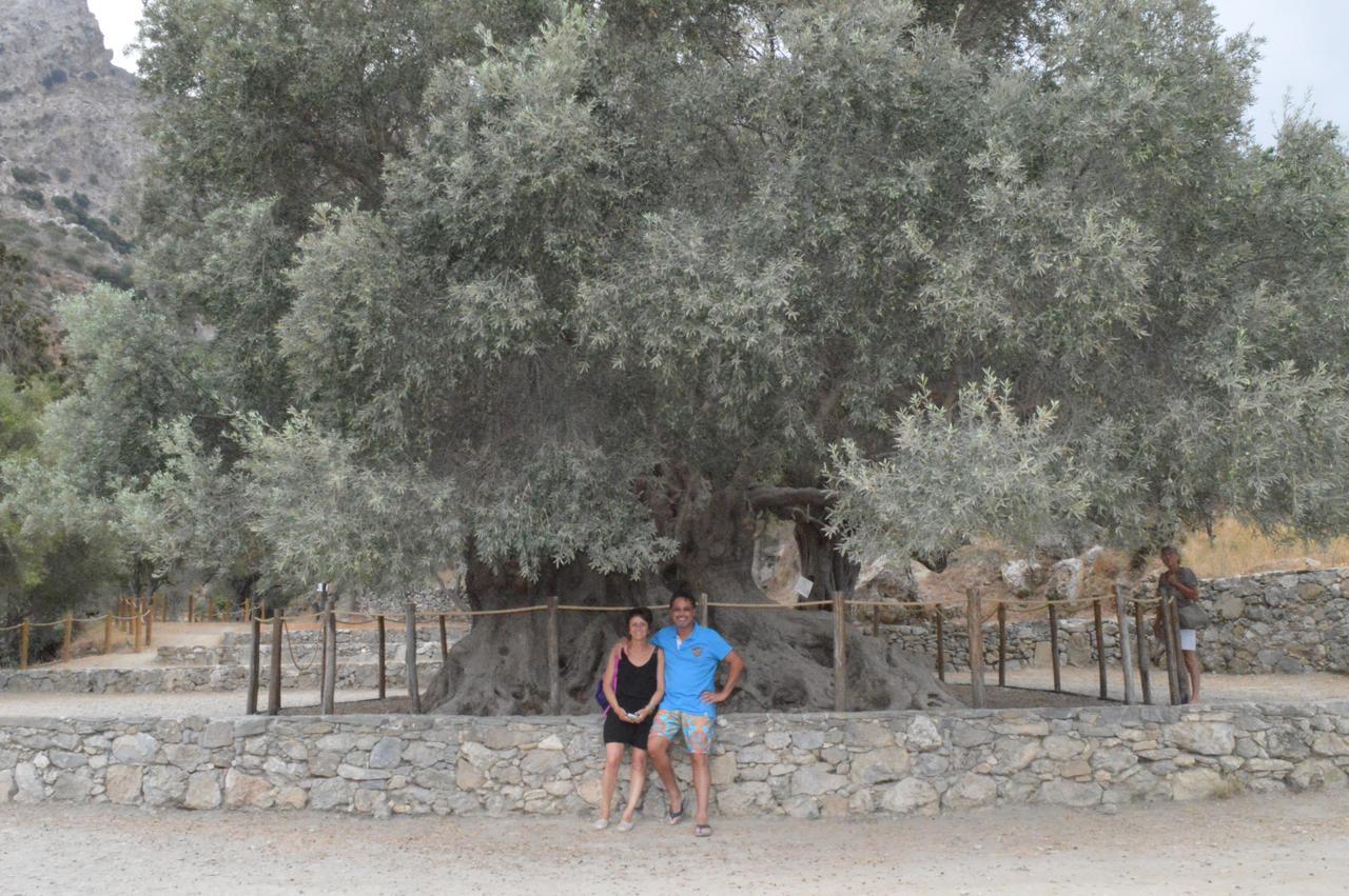 Tholos Rooms Kavousi  ภายนอก รูปภาพ