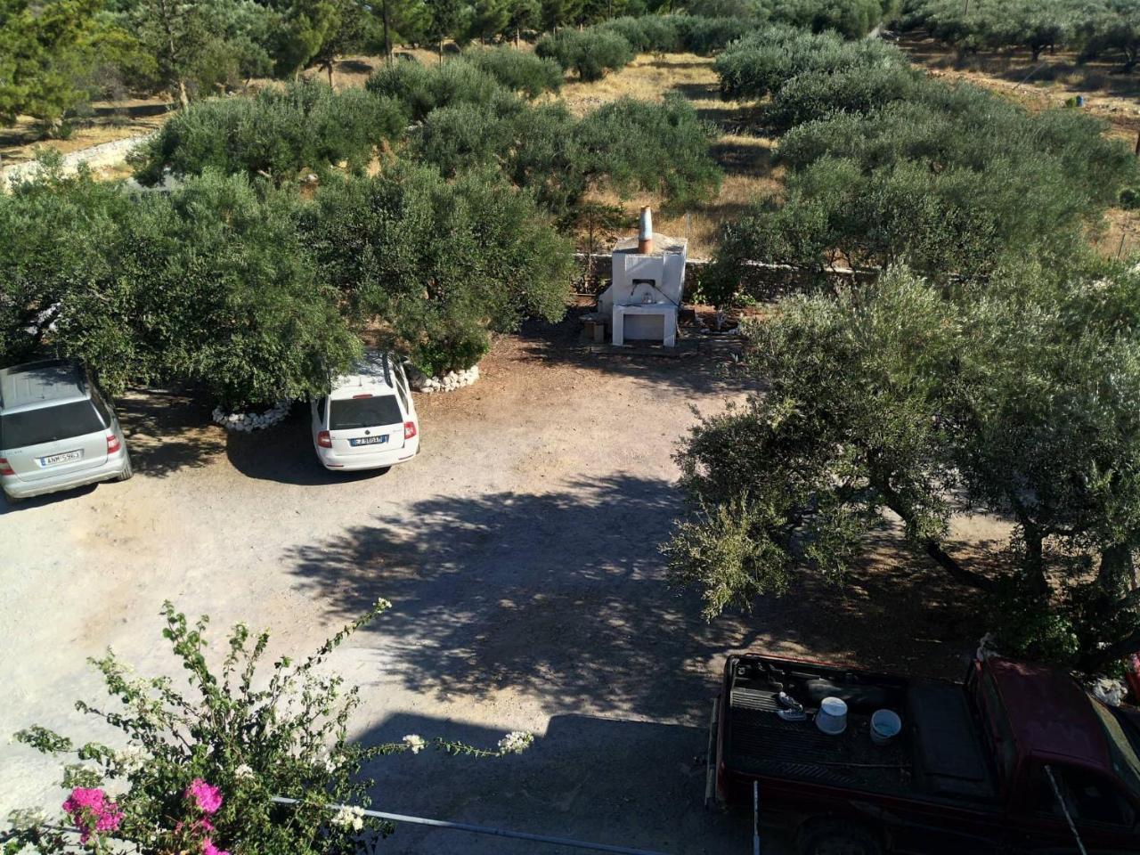 Tholos Rooms Kavousi  ภายนอก รูปภาพ